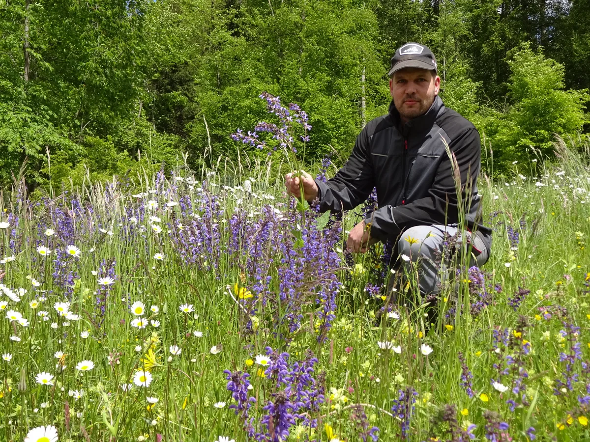 Roland Käser sitzt in einer sommerlichen Blumenwiese.